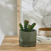 Cache pot et plantes artificielles